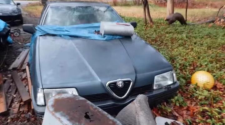 Alfa