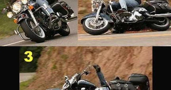 Harleysta sfortunato