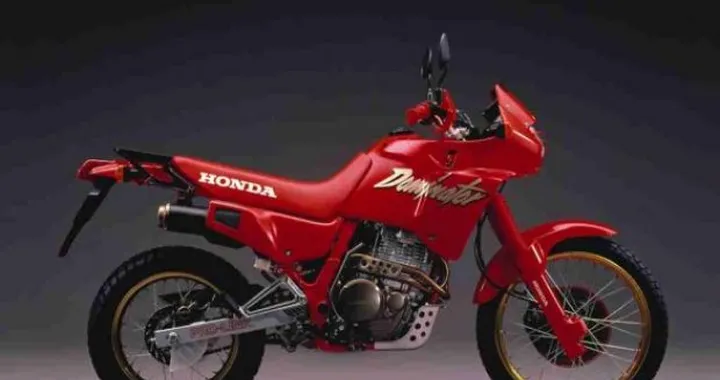 Amarcord: Honda Dominator