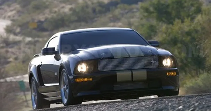 Ford Shelby GT: dal noleggio al listino