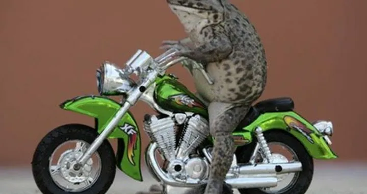 Foto del giorno: fermi tutti, c'è la motorana!