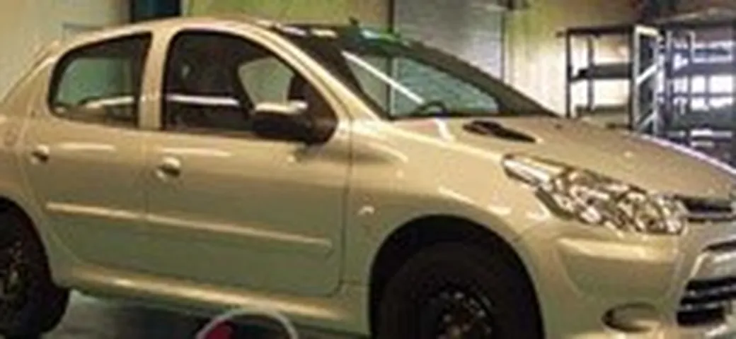 Dongfeng Citroen T21, mutazione genetica