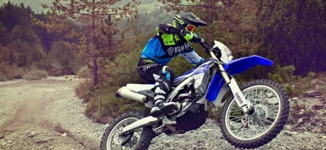 Yamaha WR250F MY 2015: dettagli e caratteristiche