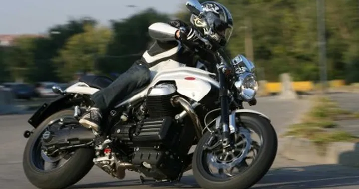 Griso 8V: predatrice di classe
