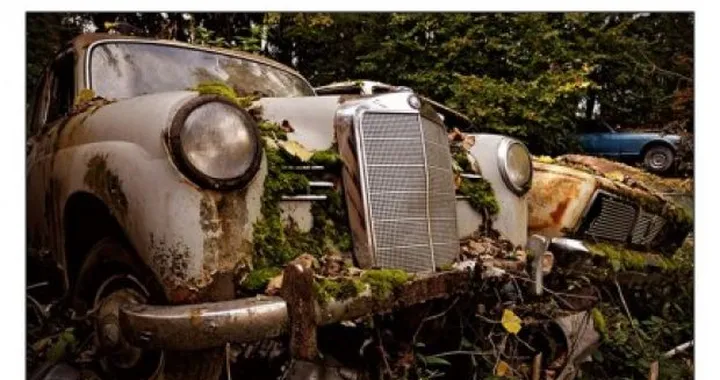 All'asta il cimitero di auto storiche di Kaufdorf