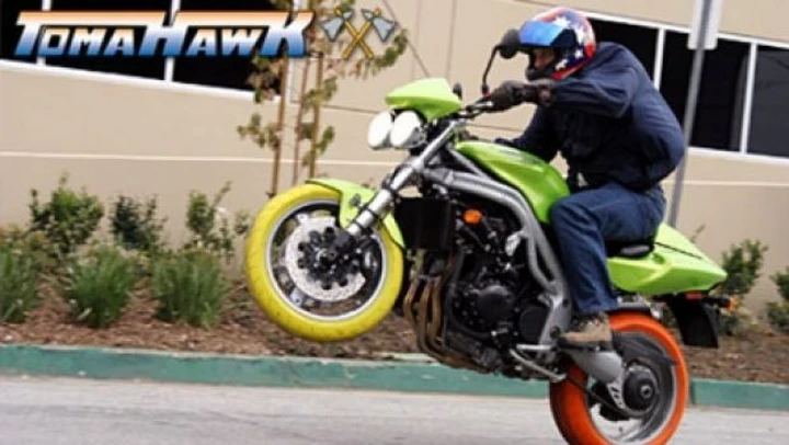 Foto del giorno: per passare inosservati