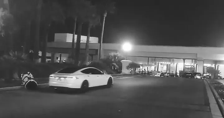 Tesla Model S con Autopilot investe un robot. Fake o realtà?