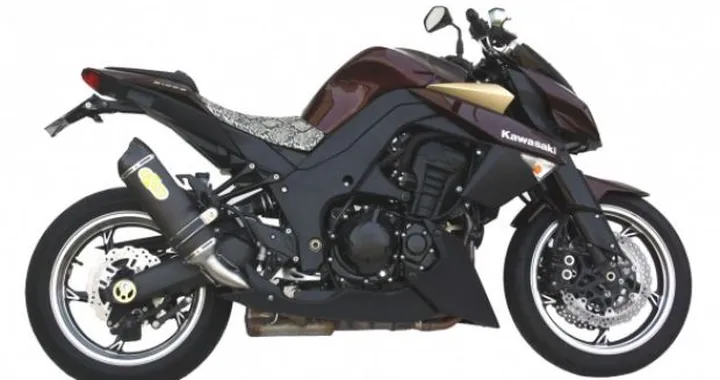 Terminali Exan Carbon Cap per Kawasaki Z1000