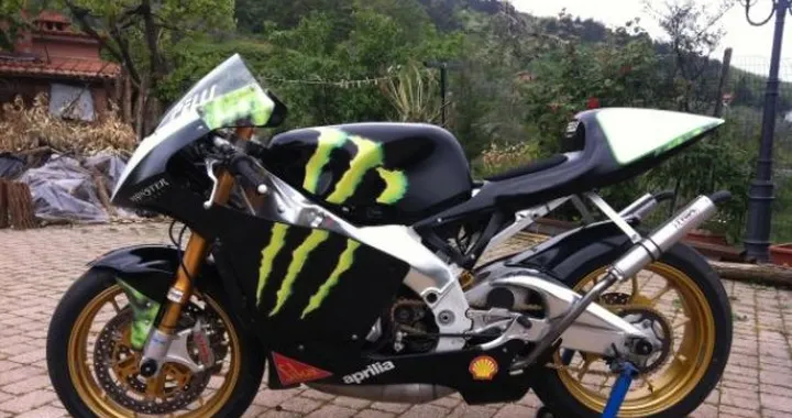 Foto del giorno: Aprilia RS 250 Monster