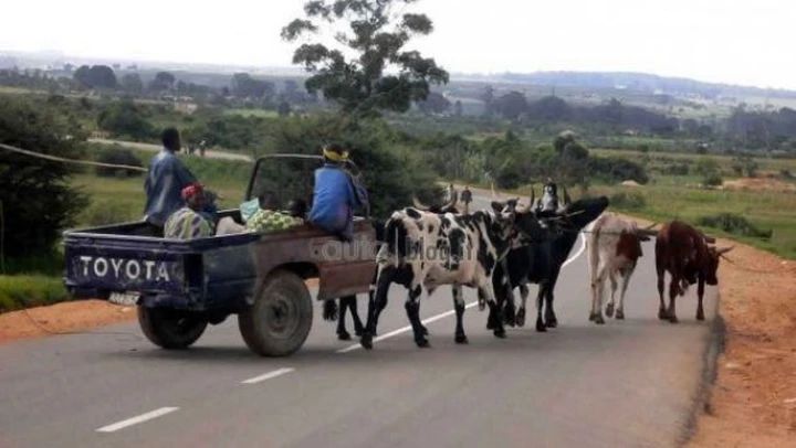 Rubrica auto Epic Win: pick-up Toyota a trazione... animale