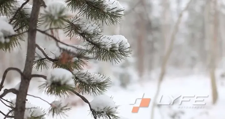 Audi R8: drift sulla neve con l'albero di Natale
