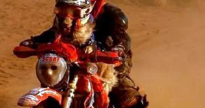 Foto del giorno: per vincere ci vuole fiuto?