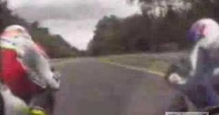 SCHWANTZ INCREDIBILE