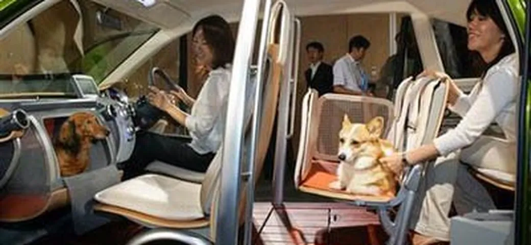Honda presenta la macchina pensata per i cani
