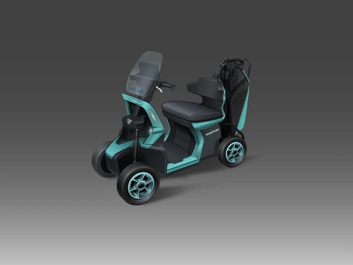 ingrandisci immagine