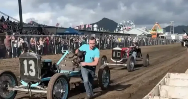 Pig-N-Ford Race: la folle corsa con Model T e maiali in Oregon
