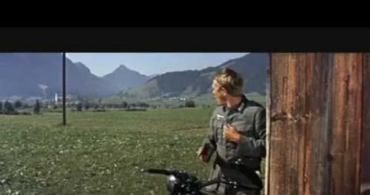 MotoCult: Triumph TT 650