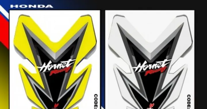 Paraserbatoio per moto giapponesi