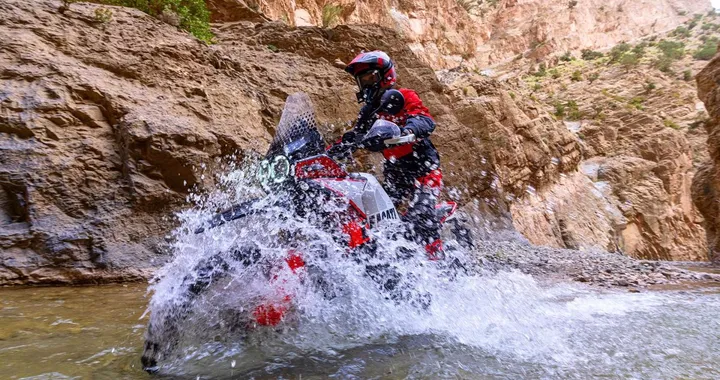 Ducati DesertX V2: motore V-twin da 115 cavalli e meno peso