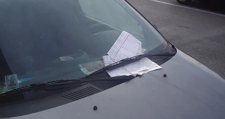 Natale 2016: la polizia sangallese regala fiori al posto delle multe