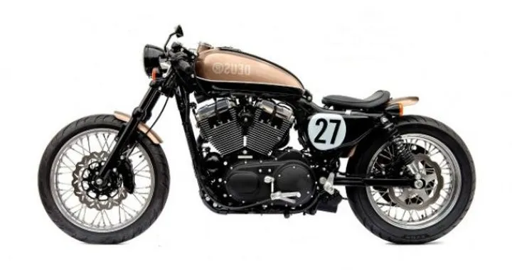 Special: Bald Terrier 1200 by Deus-Ex-Machina