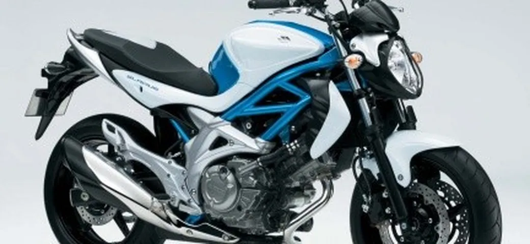 Cosa pensano i suzukisti della Gladius 650?