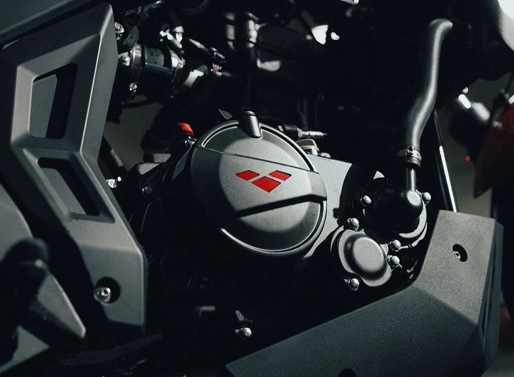 ingrandisci immagine