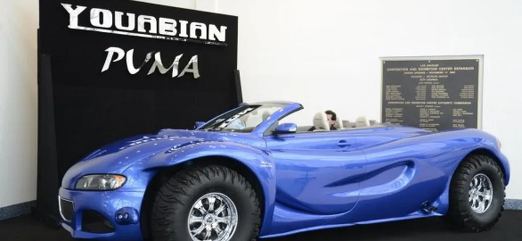 Youabian Puma