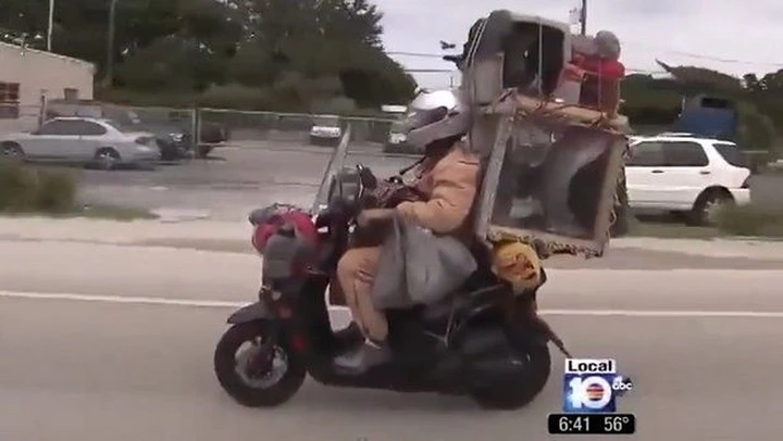 In scooter con 6 animali [video]