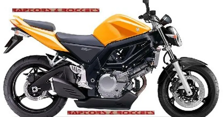 Suzuki SV 2007, quale preferite?