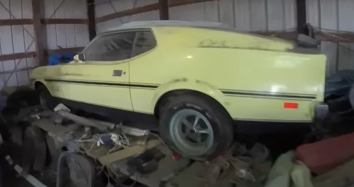 Mustang Boss 351 abbandonata nel fienile per 46 anni [Video]