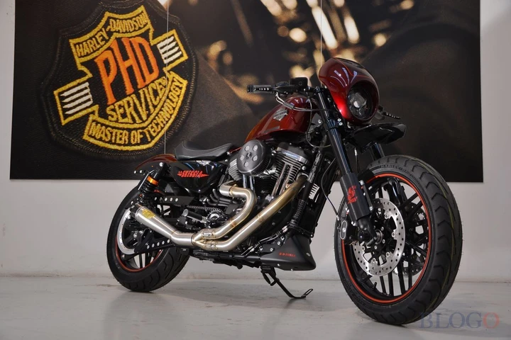 Harley-Davidson Sportster Roadster “Skeggia” H-D Parma