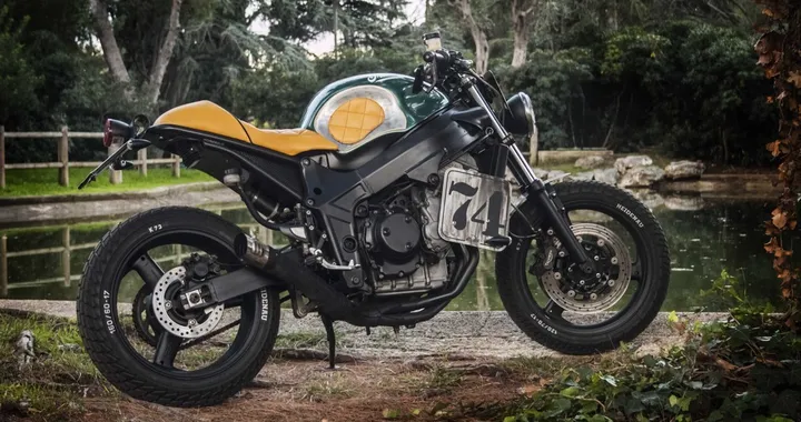 Triumph TT600 Alligatore by Shaka Garage