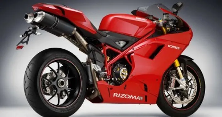 Idee Regalo: Rizoma per 1098