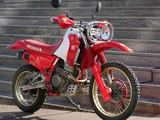 Dominator Baja Edition: la Honda NX650 del 1988 rinasce in stile rally