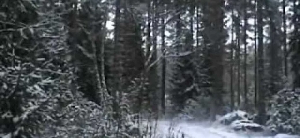 Dacia Duster: nuovo video sulla neve e aggiornamenti interni per il 2011