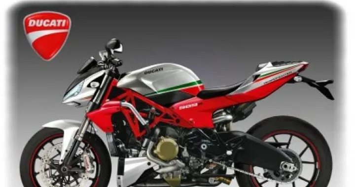 Ducati 989 R Desmofighter by Oberdan Bezzi