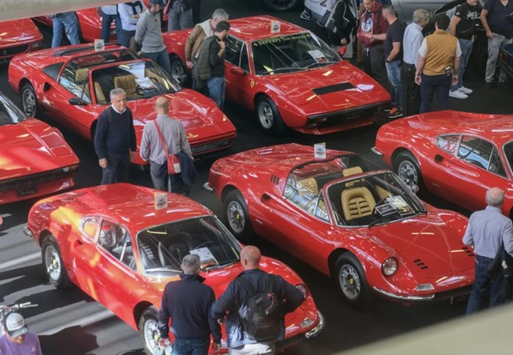 ingrandisci immagine