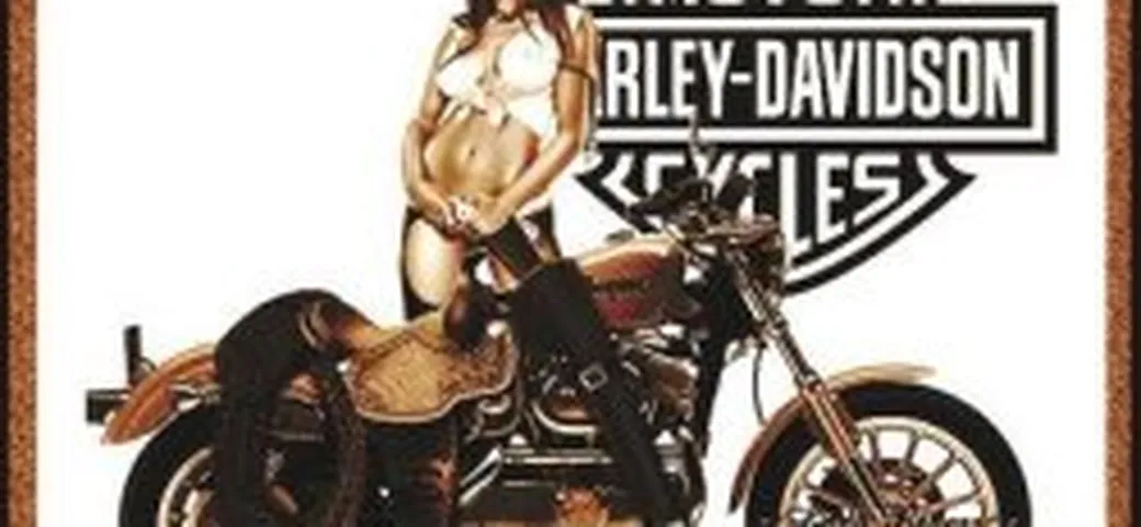 14° raduno Internazionale Aermacchi Harley Davidson