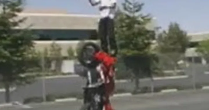 Penna acrobatica