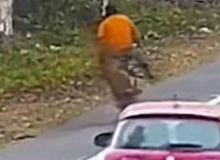 Ciclista aggredito da un leopardo sulla strada [Video]