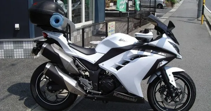 Kawasaki Ninja 250-300 by Pleasure Shop