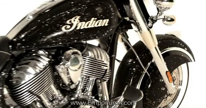 Indian decorata in cristalli Swarovski [Video]