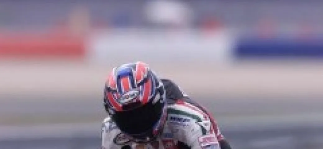 Troy Bayliss: 