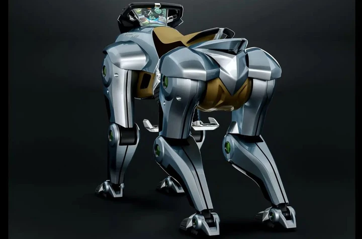 ingrandisci immagine