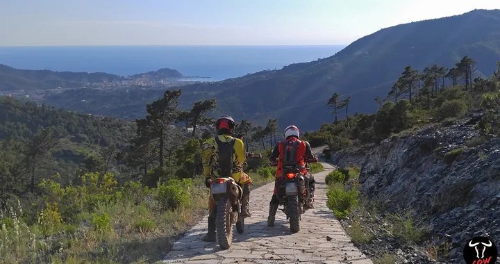 Céf Adventure 2019