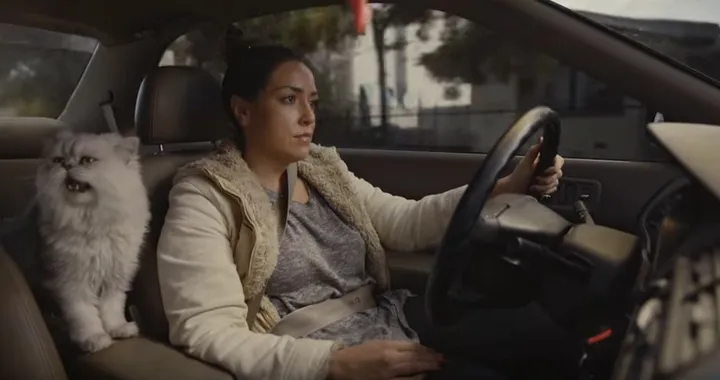 Honda Accord del 1996 in vendita: il video-annuncio è geniale [Video]