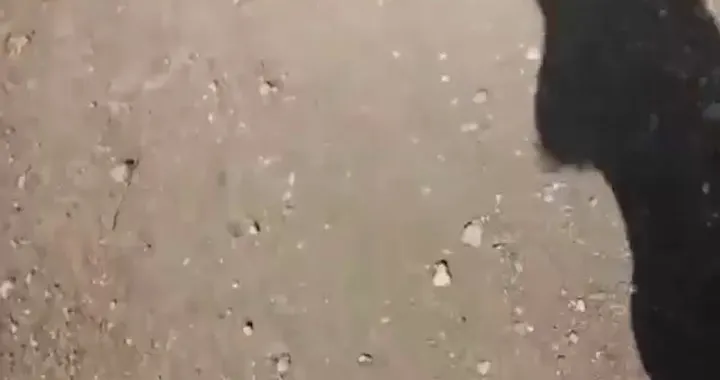 Incidente frontale tra auto e moto