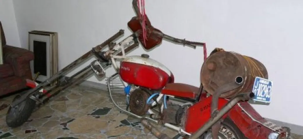 Foto del giorno: 