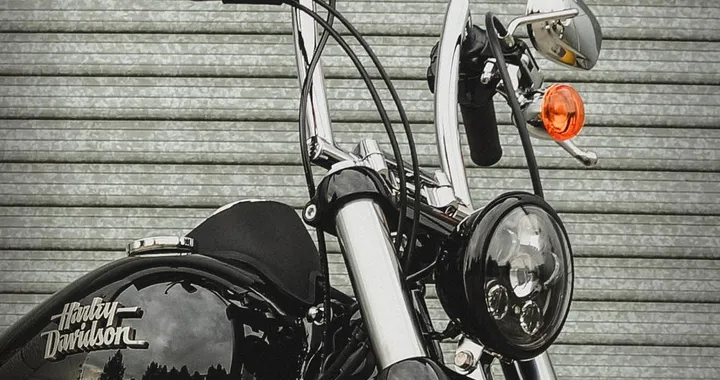Harley-Davidson Dyna Street Bob Limited Edition 2015